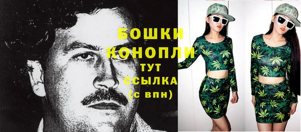 дживик Протвино