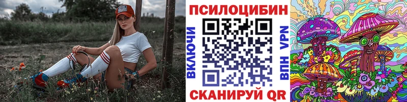 Псилоцибиновые грибы мухоморы Нововоронеж